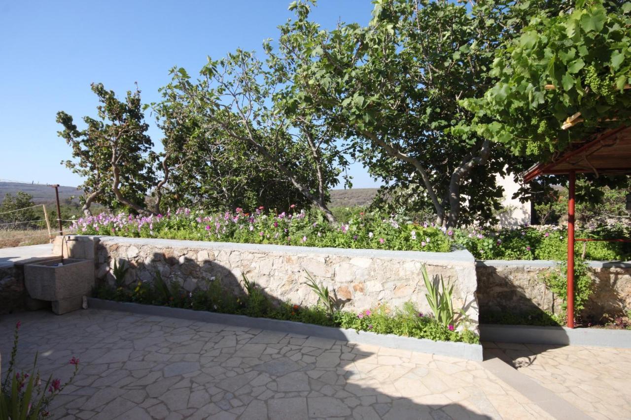 Apartments With Wifi Stivan, Cres - 382 Dış mekan fotoğraf